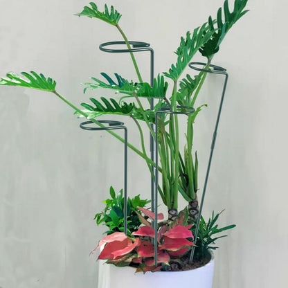 Plant Stake Support - 6 Pack Adjustable Height 16" or 30", Garden Support Stake Plant Cage Support Rings, Single Stem Plant Support Stakes, for Flowers Amaryllis Tomatoes Peony Lily Rose (30inch)