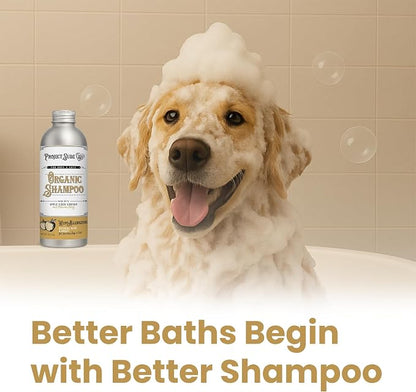 Project Sudz Hypoallergenic Dog Shampoo – Oatmeal & Honey | Extra Gentle, Unscented Pet Shampoo for Sensitive Skin | Safe for Puppies, Eco-Friendly & Made in USA