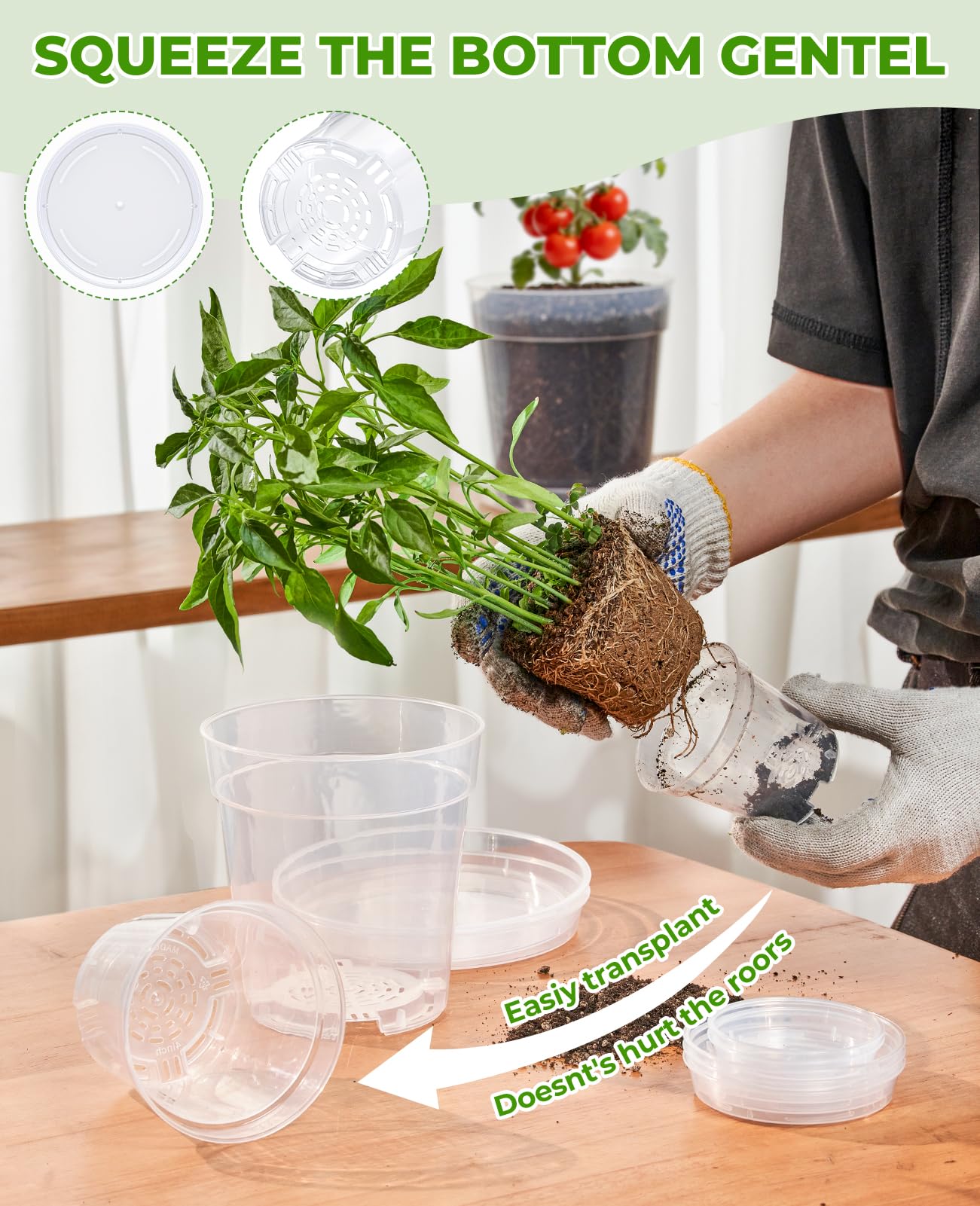 homenote 5 Inch Clear Nursery Pots 30 Pack with Drainage and Plant Saucers, Rigid High Transparency Plastic Nursery Pots for Plants,Thick Walled Planter Nursery Pots with Upgraded Drainage Holes