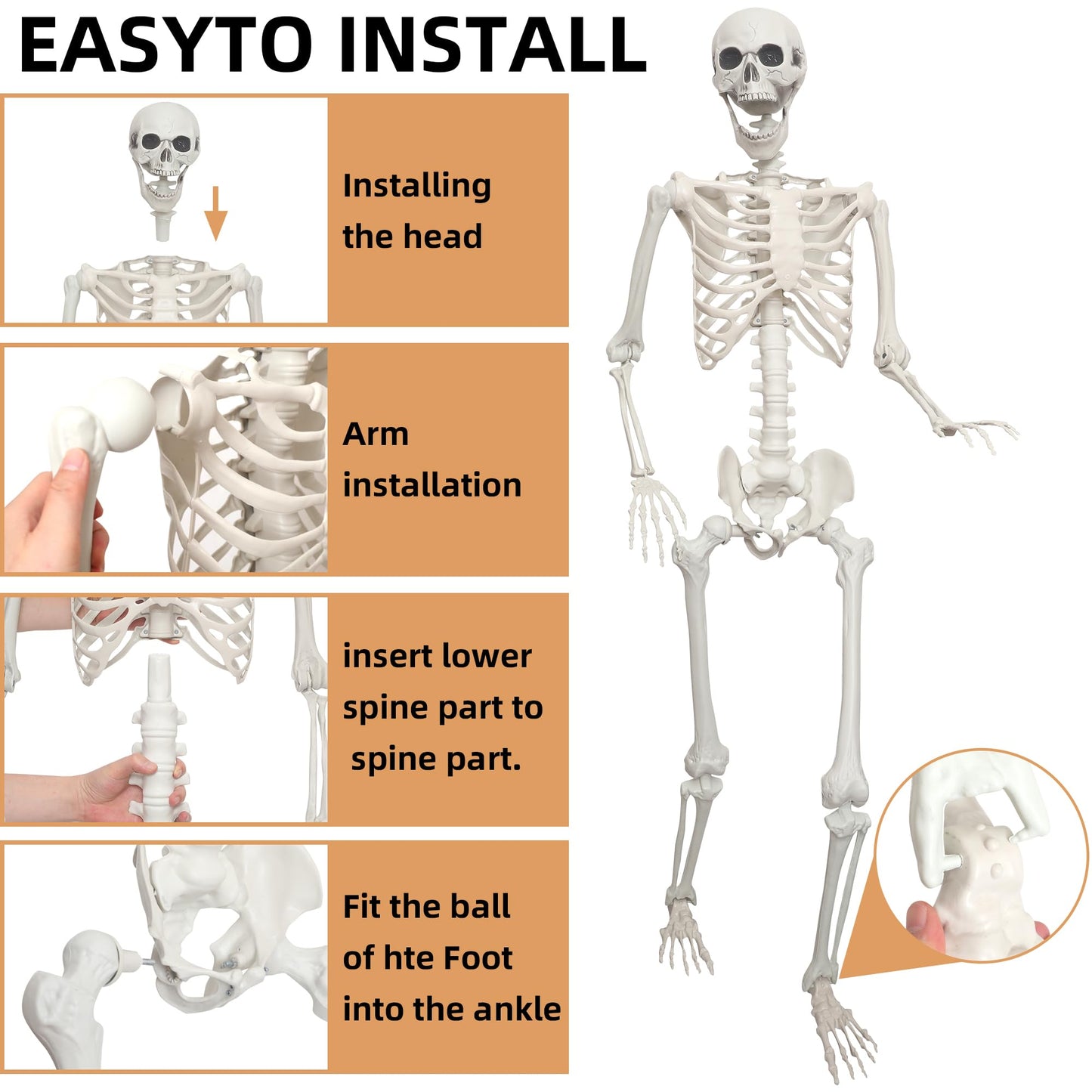 Lodou 2 Pack 5.4ft/165cm Life Size Skeleton Halloween Skeletons,Full Body Human Bones with Movable Joints for Indoor Outdoor Halloween Decor