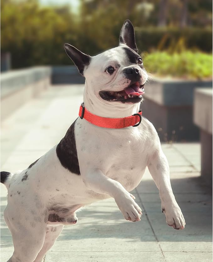 Mile High Life Soft & Strong Poly Cotton Collar - Adjustable with Quick Release Buckle for Small to Large Dogs, Red