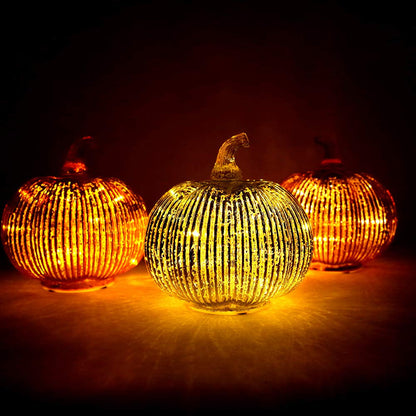 hvfun Mercury Glass Light Up Pumpkin with Timer, Fall Decoration for Home, Silver Halloween Festive Decor Lamp