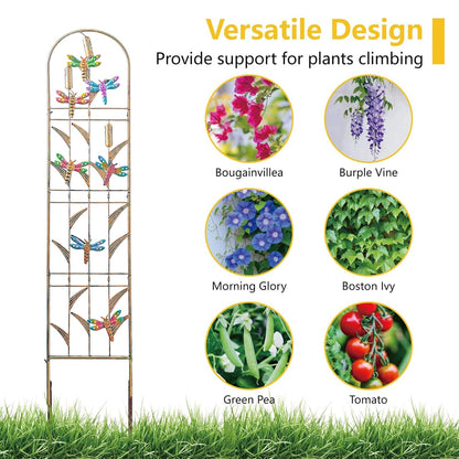 aboxoo Set of 4 Packs Dragonfly Metal Garden Trellis for Climbing Plants,Outdoor Decorative Flowers Arch Fence Trellis for Outdoor Patio,Garden,Lawn,Yard,Backyard,Wall Brackets,60'' H x 11'' W