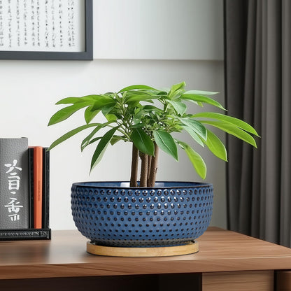 EPFamily Bonsai Pots - 8 Inch Ceramic Pots for Succulent Plants & Bonsai Tree, Planter with Drainage Hole and Saucer, Modern Round Decorative Flower Planters, House Decor, Gifts for Women Man, Blue