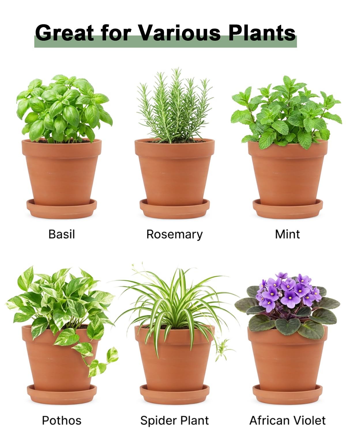 Riseuvo 6 Inch Terracotta Pots with Saucers – 4 Pack Medium Clay Flower Pots with Drainage Hole，Clay Pot for Succulents, Cactus and Indoor Plants, Wedding Favors