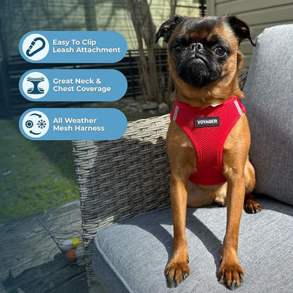 Best Pet Supplies Voyager Step-in Air All Weather Mesh Harness and Reflective Dog 5ft Leash Combo with Neoprene Handle, for Small, Medium and Large Breed Puppies - Set (Red), X-Large
