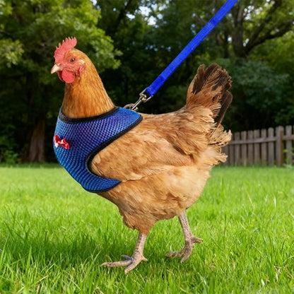 Chicken Harness and Leash Set Adjustable Mesh Breathable Duck Training Harness Pets Leashs for Goose Hen Rooster Parrots Dog Kitten, Red M