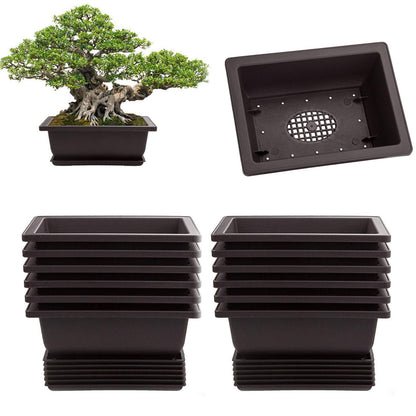 LANIAKEA 12 Pack Bonsai Pot with Trays 6.5 Inch Nursery Pots with Drainage Plastic Bonsai Training Pots for Home Furnishings Décor Flower Nursery Brown