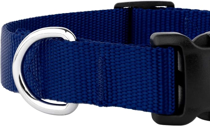 Country Brook Petz - Everyday Nylon Dog Collar and Leash - 10+ Cool Colors (3/4 Inch, Medium, Royal Blue)