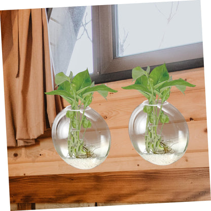 BIUDECO Wall Hanging Glass Terrarium Planter Stylish Hydroponic Flower Vase for Indoor Plants Transparent Design for Home Decor for Succulents and Plant Arrangements