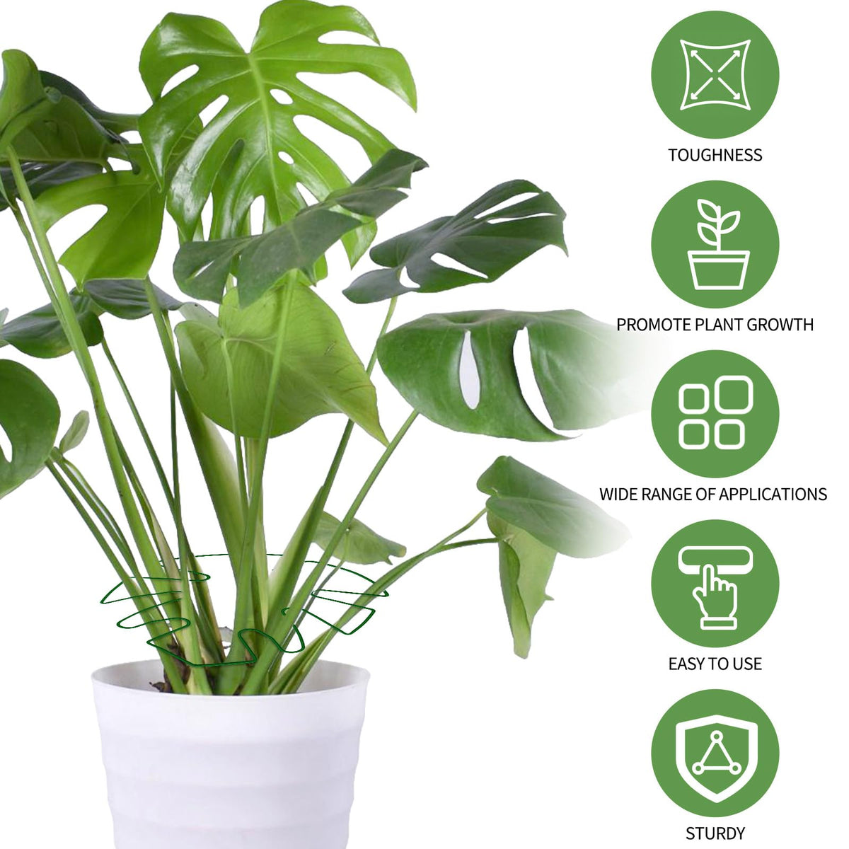 Spiritlele 5 Pcs Green Plant Stem Support Holder Set Monstera Plant Support Clamp Growth Accessories for Indoor Plants Small
