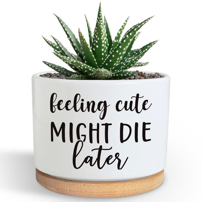 Funny Succulent Plant Pot, Cute 3.5 Inch Small Ceramic Cactus Plant Pot with Drainage, Home Office Desk Planter Pot for Friends Planter Lovers Birthday Christmas Housewarming Gifts (No Plants)