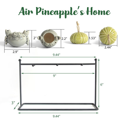 Gniliny 8 Pack Ceramic Air Plant Cradle with Rack: Indoor/Outdoor Hanging Planters - Air Plant Display Container for Home Office Garden