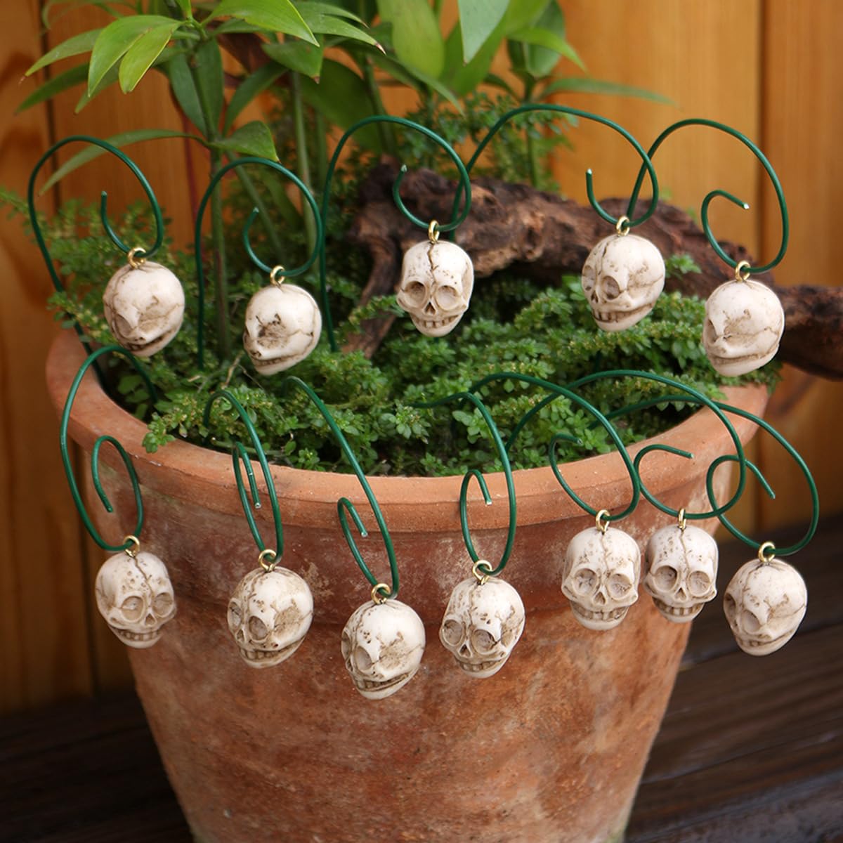 Wjwumha 12Pcs Skeleton Plant Decor Stakes Halloween Decorations for Lawn Garden Skull Flower Pot Adornment
