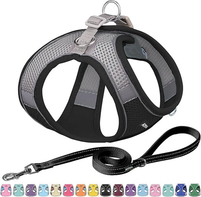 AIITLE Step in Dog Harness and Leash Set - No Pull Escape Proof Vest Harnesses with Soft Mesh and Reflective Bands, Adjustable Pet Outdoor Harnesses for Small and Medium Dogs Black M
