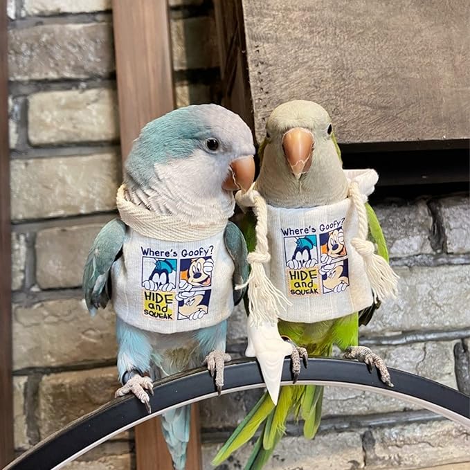 Bird Diaper Flight Suit Frog Shape Hoodie Clothes Cosplay Photo Prop for Parrots Parakeet Cockatiel Sun Conure, Small Animals Apparel (White With Hat, Small)