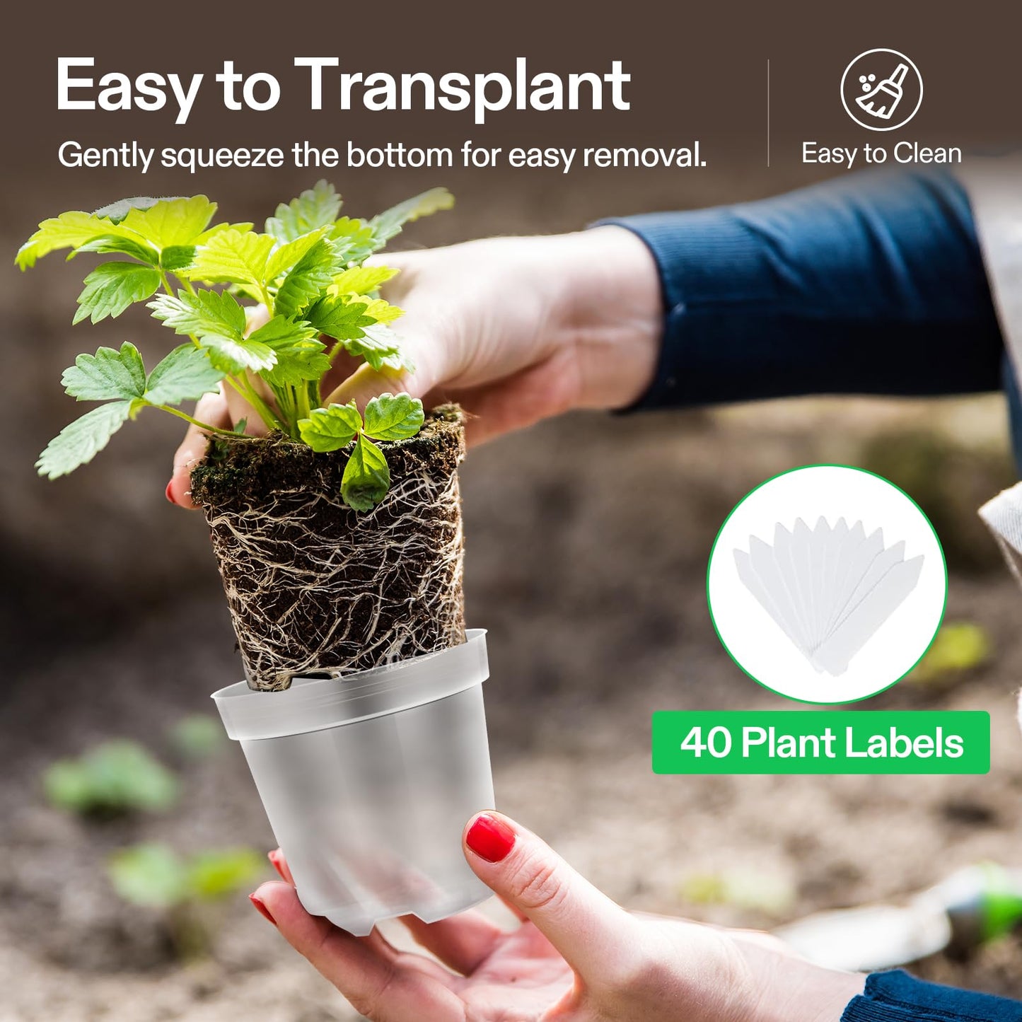 VIVOSUN 36 Packs 4/5/6 Inch Clear Nursery Pots with Drainage Holes, Reinforced Plastic Seedling Pots for Plants, Flowers, Cuttings, and Succulents, 40 pcs Plant Labels