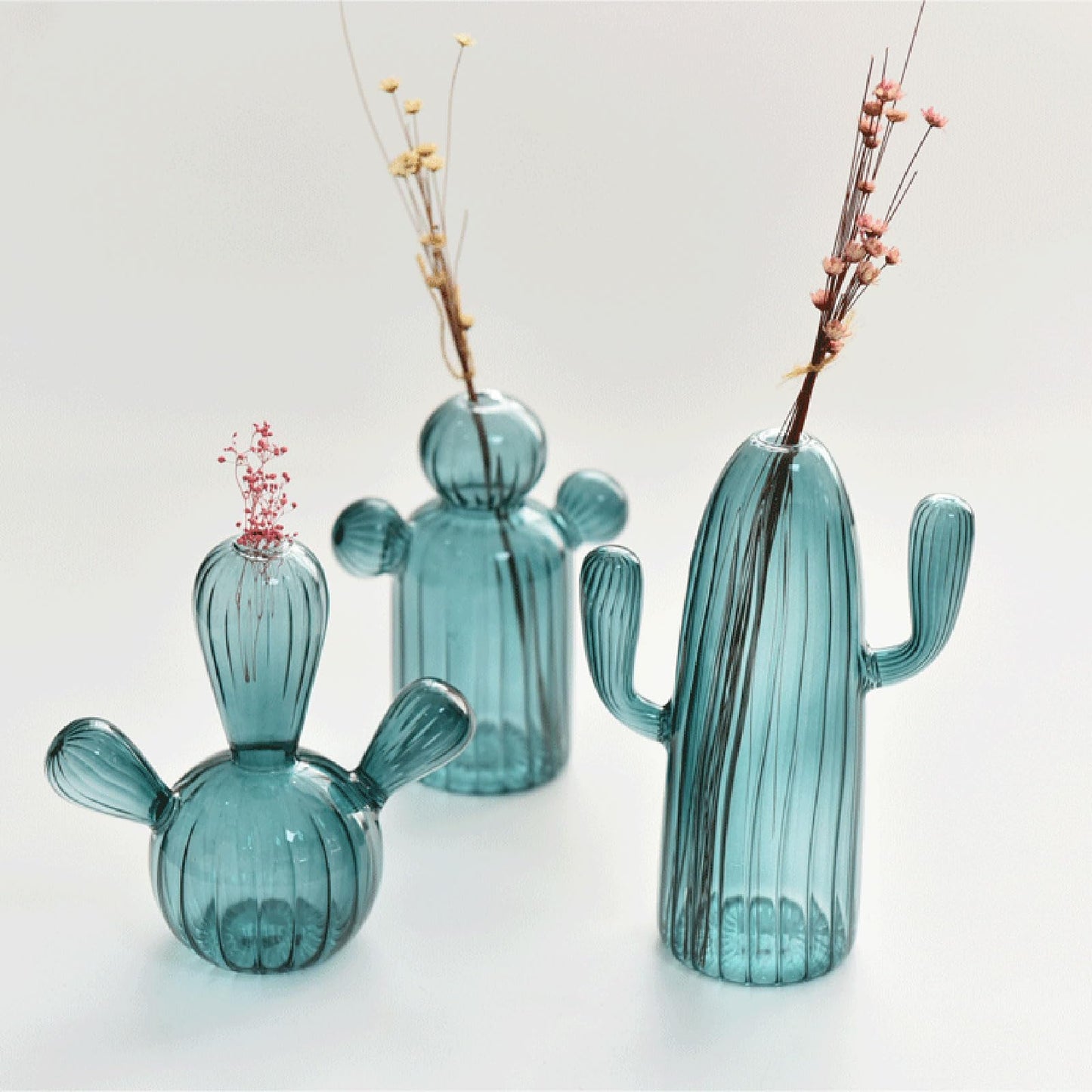 Cactus Glass Vase Flower Plant Flowerpots Decorations Home Hydroponics Terrariums Flower Arrangement Flowerpots Livingooms Decors Cactus
