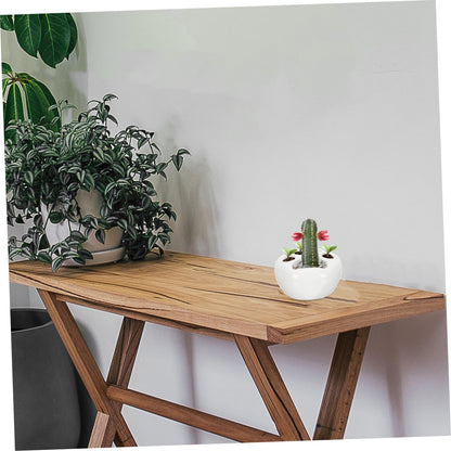 LIOOBO 2pcs Cat Claw Flower Pot Decorative Container with Drainage Cute Cacti Pot for Home Decoration for Room Office Balcony and Desk
