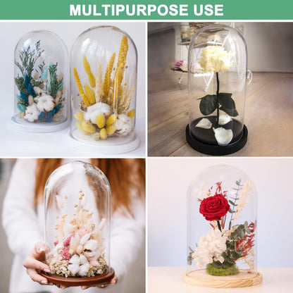 M METERXITY Cloche Glass Dome, 3.9"x2.4" Glass Display Case with Wooden Base for DIY Snow Globes/Small Plants/Flowers/Candles/Models/Souvenirs, Tabletop Centerpiece [Wood]