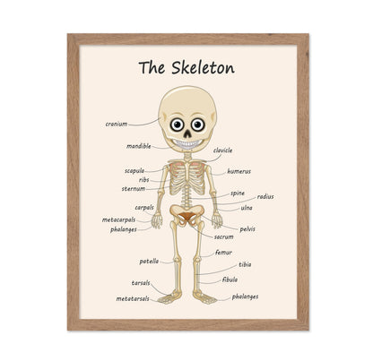 Poster Master The Skeleton Poster - Human Skeleton Print - Learning Materials Art - Science Art - Gift for Students & Teacher - Fun Decor for Classroom, Library or Nursery, 11x14 Beige Framed