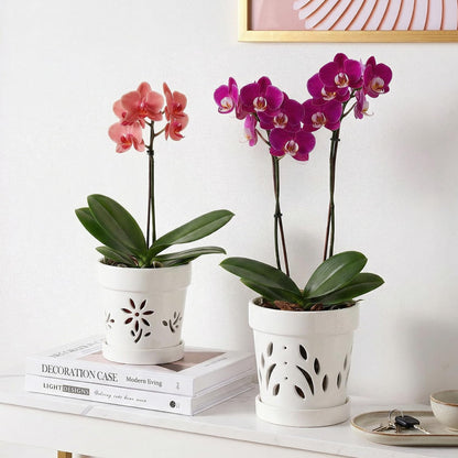STHIE Orchid Pots, 5 + 6 Inch Ceramic Orchid Pots with Holes, Orchids Planter for Repotting, 2 Pack Promoting Air Circulation, White Flower Pots with Removable Trays