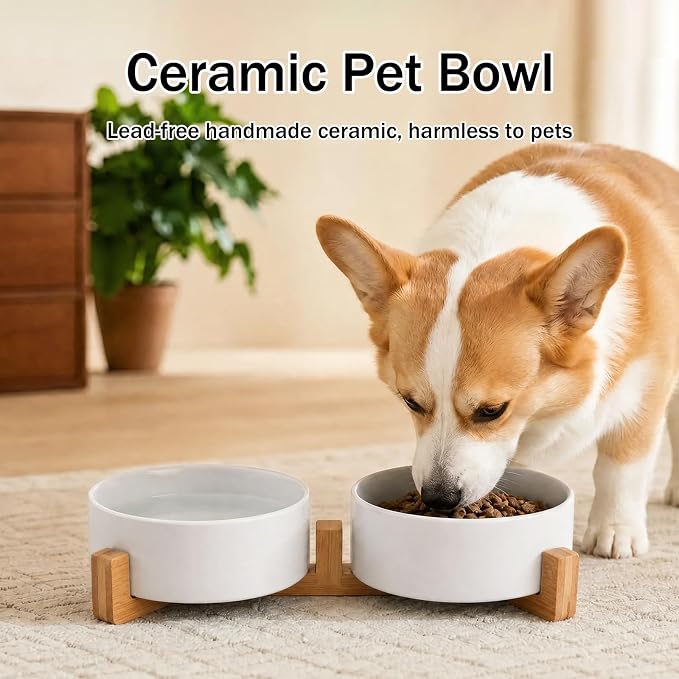 MateeyLife Ceramic Dog and Cat Bowls with Stand, 2-Pack Food and Water Bowl Set - Non-Slip Pet Bowls for Cats,Puppies and Small Dogs, 13.5OZ（White）