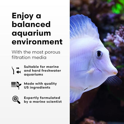 Brightwell Aquatics - Xport-BIO Block Aquarium Filter - Biological Filtration Media for Bacteria Growth, Nutrient Control & Control of Unwanted Nutrients - Aquarium Water Treatments, 8 Pack, 1.5 inch