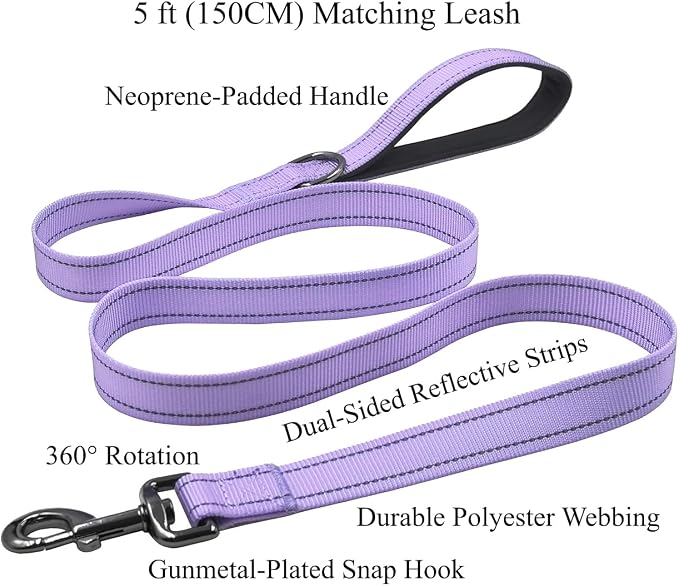 Dog Collar Leash Set, with Relfective Strips, Lilac Purple, Medium. | Adjustable Collar,5 ft Matching Leash,Neoprene Padded Handle.