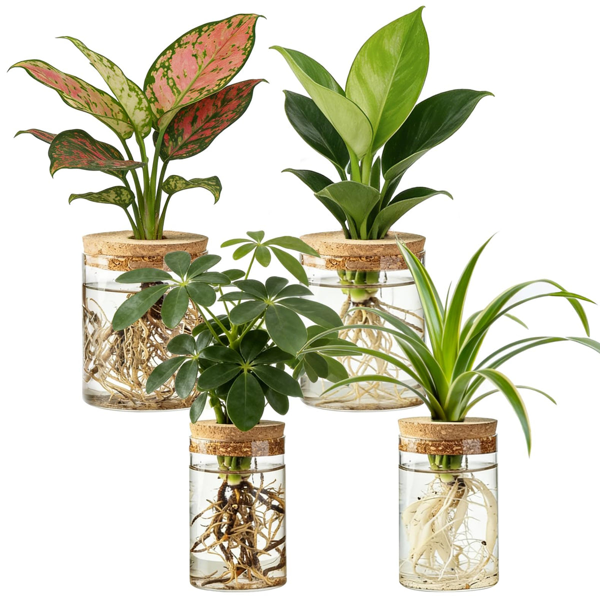Dahey 4Pcs Glass Plant Propagation Stations Desktop Propagation Vases for Plants, 2 Large Planters Jars & 2 Small Pots Vases for Indoor Hydroponic Plant Cuttings, Living Room Home Office Bedroom Decor