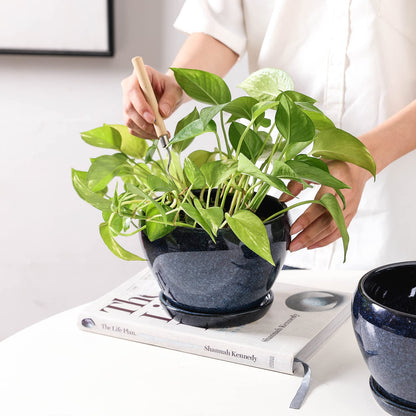 vicrays Ceramic Plant Pots Indoor - 6.5 Inch Planter Pot with Drainage Hole and Saucer for Succulent Orchid Flower Herbs Cactus - Ideal for Gardening Home Desktop Office Decor - Blue