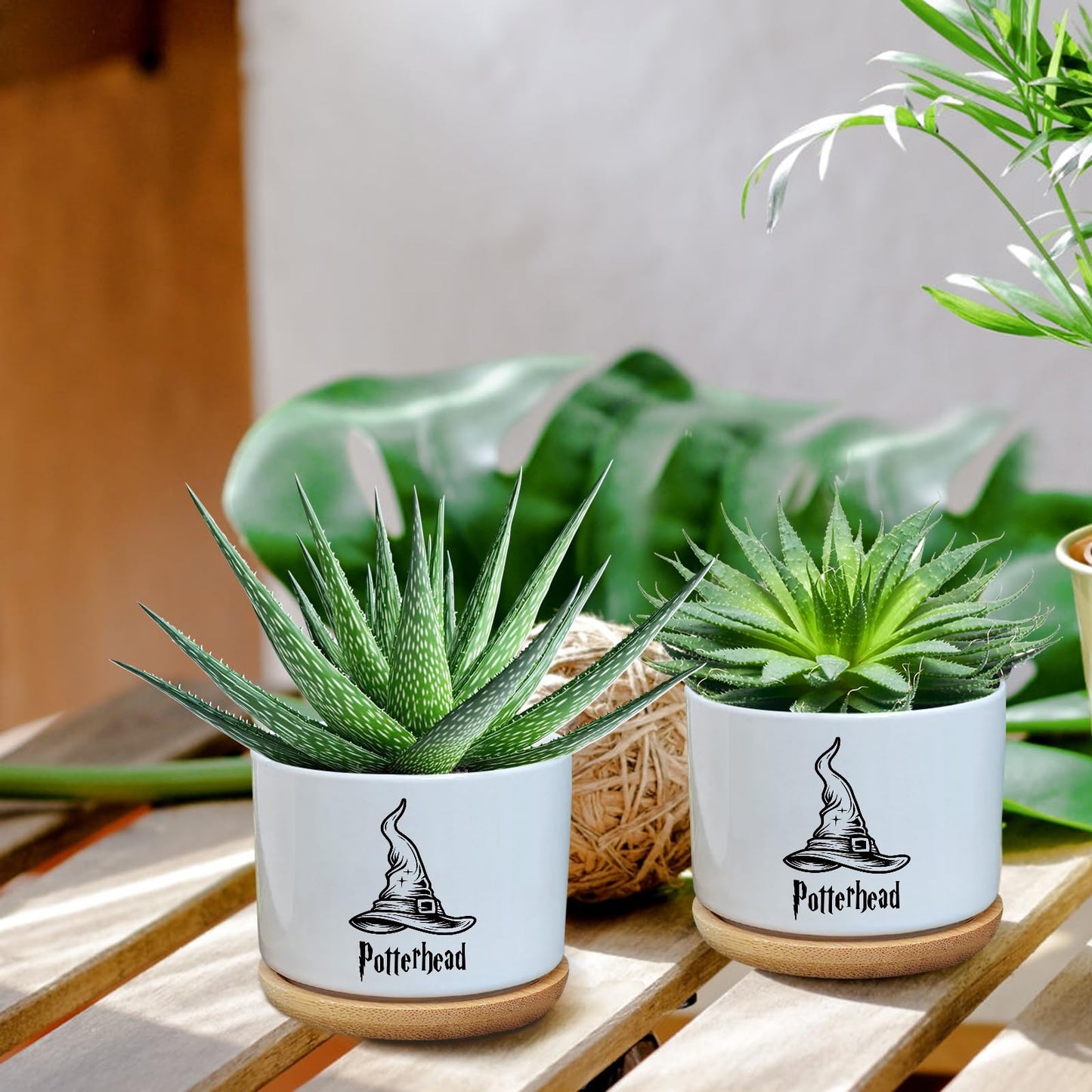 AKAQCHANG Ceramic Succulent Cactus Planter Pots with Drainage,Funny Planters Indoor Plants Desk Accessories,Harry Magic Hat Office Decor,Gifts for Plant Lovers Mom Friends Teacher(Plant Not Included)