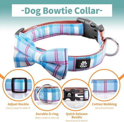 IVY&LANE Dog Collar with Bowtie and Leash Set | Plaid Adjustable Dog Collar | Detachable Bow Tie |5 FT Dog Leash | for Small Medium Large Dogs | Checkered Blue | Small