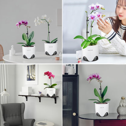 Meshpot 5 inch Orchid Pots with Holes for Repotting with Excellent Airflow, Set of 2, Double Layer Plastic Imitate Ceramic Orchid Planter, Clear Orchid Pot Match Decorative Orchid Container