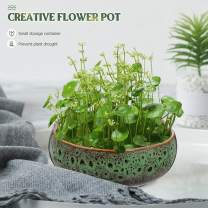 Happyyami Hydroponic Water Planter Pot Ceramic Succulent Bonsai Pot Water Lily Narcissus Planting Bowl Flowerpot Container Garden Decoration ( Style b )