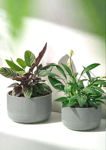 Jardin Tesoro Ceramic Planters - 10+12 Inch Large Pots for Indoor & Outdoor Plants, Modern Flower Pots with Drainage Holes and Self Watering Devices, House Grey-Blue Big Plant Pot, Set of 2