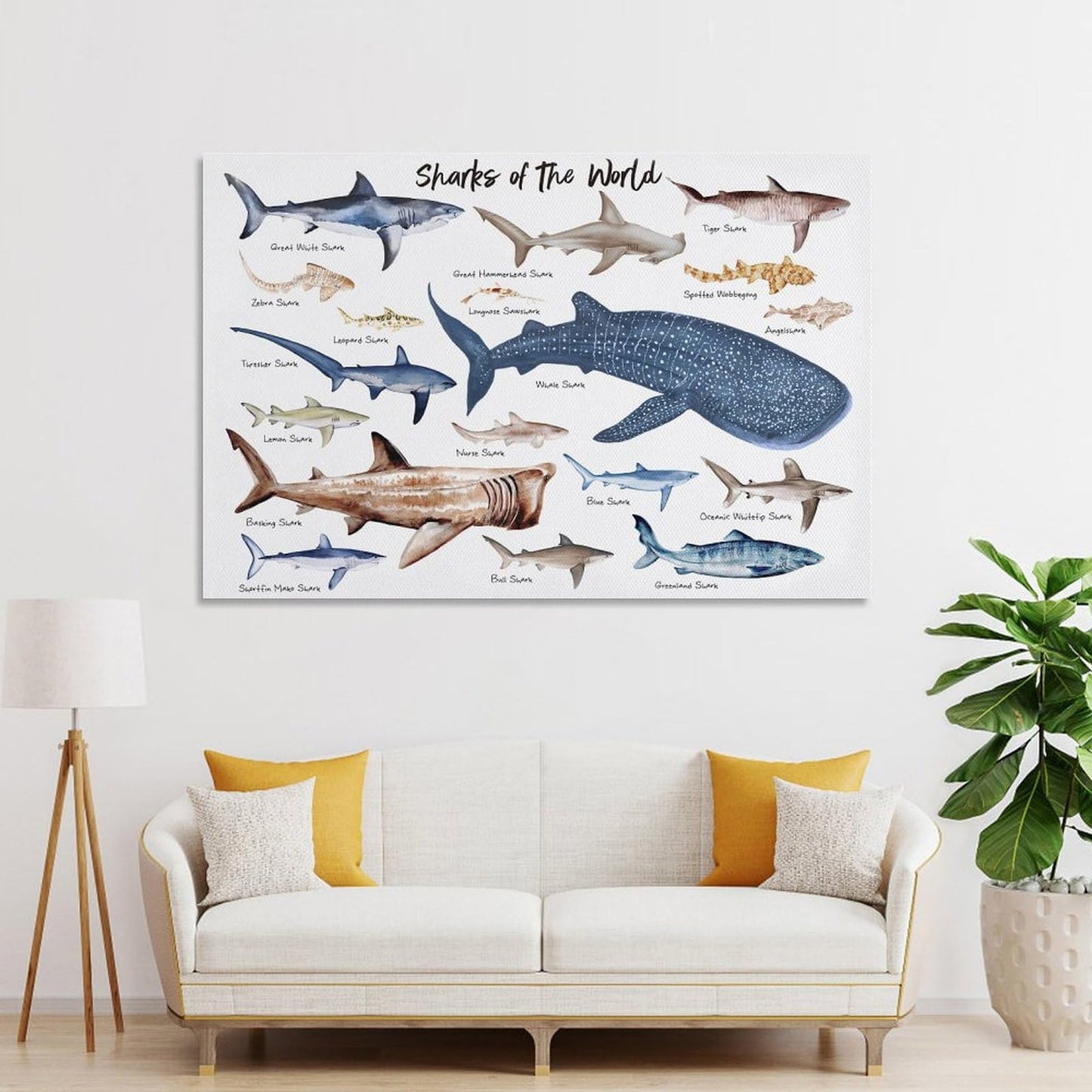 CZOURPVU Types of Shark Poster Shark Educational Chart Poster16x24inch(40x60cm)