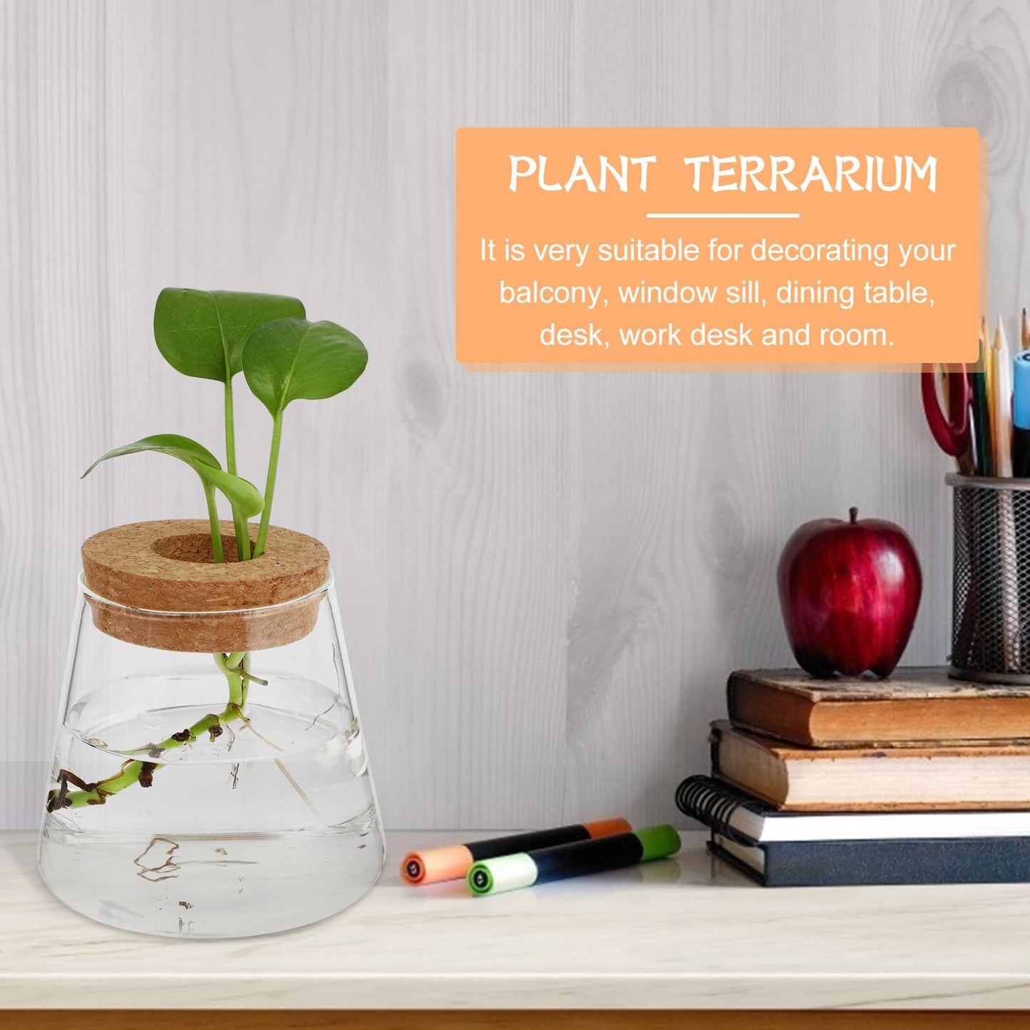 GRIRIW 2pcs Hydroponic Plants Vase Glass Planter Small Desktop Terrarium Container for Water Plant Propagation Home Office Décor