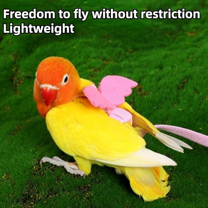 Pet Parrot Bird Harness and Leash, Adjustable Training Design Anti-Bite, Bird Nylon Rope with Cute Wing and Colorful Leash for Parrots Lovebird Cockatiel Conure Budgie (Purple with 78.7inch Leash,S)