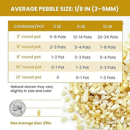 1/8 Inch Aquarium Gravel, Small Pebbles for Fish Tank, Indoor Plants & Succulents, Natural Mini River Rocks for Dressing & Vase Filler, Cream Beige, 12LB