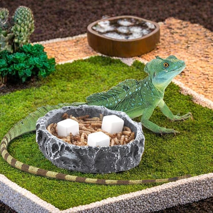 DQITJ 18 Pcs Small Reptile Calcium Stone Natural Calcium Mineral for Reptiles Turtle Tortoise Lizard Frog Chameleon (3 Pack)