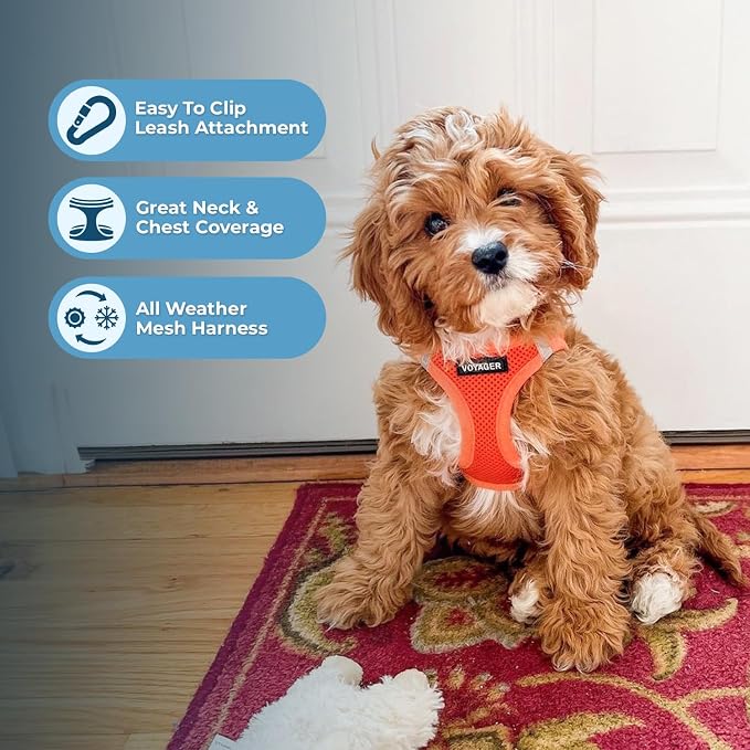 Best Pet Supplies Voyager Step-in Air All Weather Mesh Harness and Reflective Dog 5ft Leash Combo with Neoprene Handle, for Small, Medium and Large Breed Puppies - Orange, X-Large