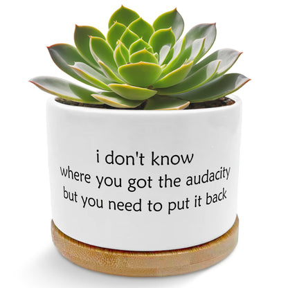 EVIHCG Funny Humorous Saying Planter Pots, Sarcastic I Don't Know Where You Got the Audacity Ceramic Succulent Plant Flower Planters for Home Office Desk Table Shelf(No Plants)