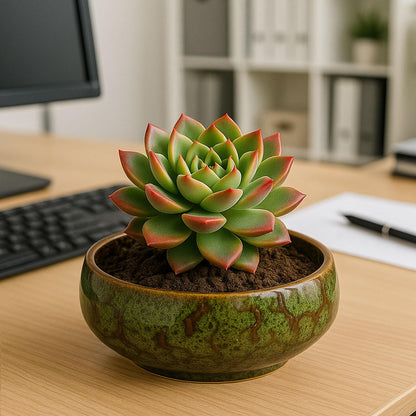 Oncpcare Lotus Bowl Planter – Ceramic Water Plant Pot Sacred Bonsai Bowl Lotus Flower, Shallow Glazed Vase for Lotus Seeds, Bonsai, Succulents, Hydroponic Plants (Blue)