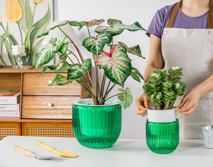 Melphoe Self Watering Pots for Indoor Plants, 8.3/5.3 Inch 2 Pack and 2Pack 8 inch Flower Pots