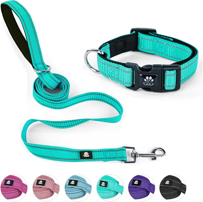 NESTROAD Dog Collar and Leash Set,Reflective Dog Collars with Quick Release Buckle,Adjustable Nylon Pet Collar for Small Medium Large Dogs(Large,Teal)