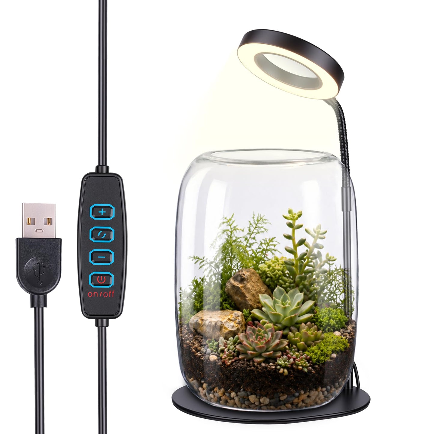 Yeeweek 5X Aperture Grow Light for Indoor Plants, Mini Desk Grow Light with Glass Terrarium for Small Plants, Succulents & Moss, Height Adjustable Plant Growing Lamp for Home Office Gift