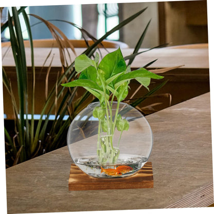 UPKOCH 2Sets Clear Glass Vases with Natural Eucalyptus Base Small Plant Terrarium for Home Decor Hydroponic Display Artistic Design for Indoor Plants and Decorative