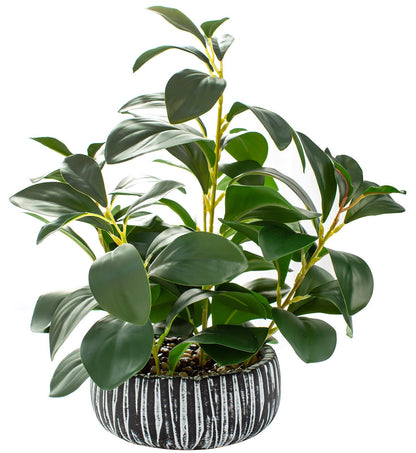 AlphaAcc Artificial Plants Decor Greenery Fake Succulents Indoor Potted Fake Plant with Rustic Black Clay Planter for Home Decor Farmhouse Room Bathroom Bedroom Kitchen Office Table Decor