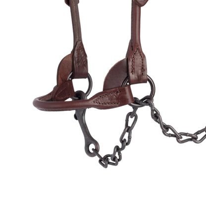 Weaver Livestock Leather Bombshell Show Cattle Halter, Adjustable, Modern Style Cow Calf Halter, Livestock Handling Equipment for Showing, Brown